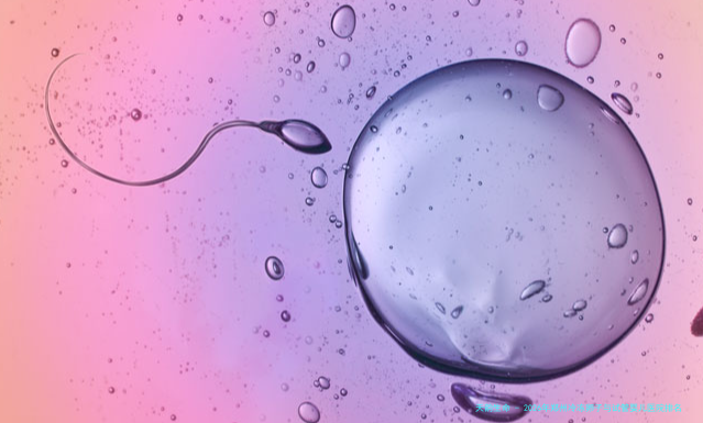 2026年郑州冷冻卵子与试管婴儿医院排名前五名单及费用详情解析