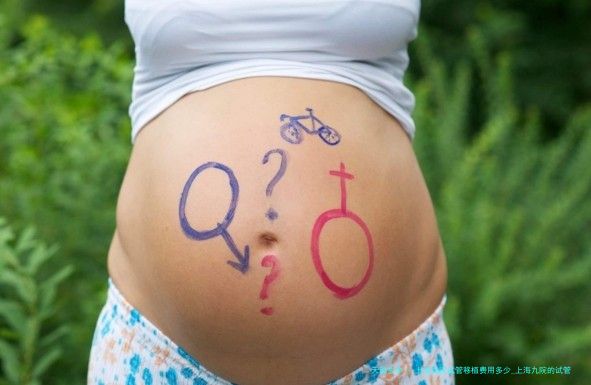 上海九院试管移植费用多少_上海九院的试管婴儿移植的成功率多少！