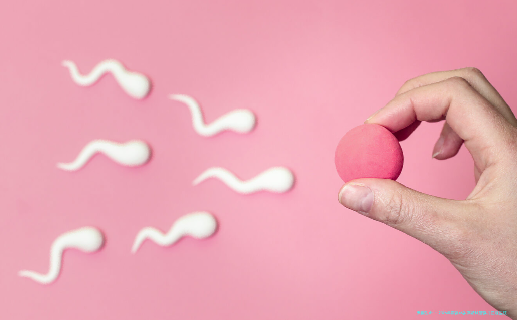 2026年南昌46岁高龄试管婴儿正规医院排名与、费用、技术全解析