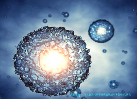 河北省三代试管资质医院成功率怎么样_河北十大试管婴儿医院排名！