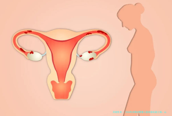 2026年济南试管婴儿医院排名前三强：山东大学附属生殖医院、山东省妇幼保健院等机构实力对比与费用指南