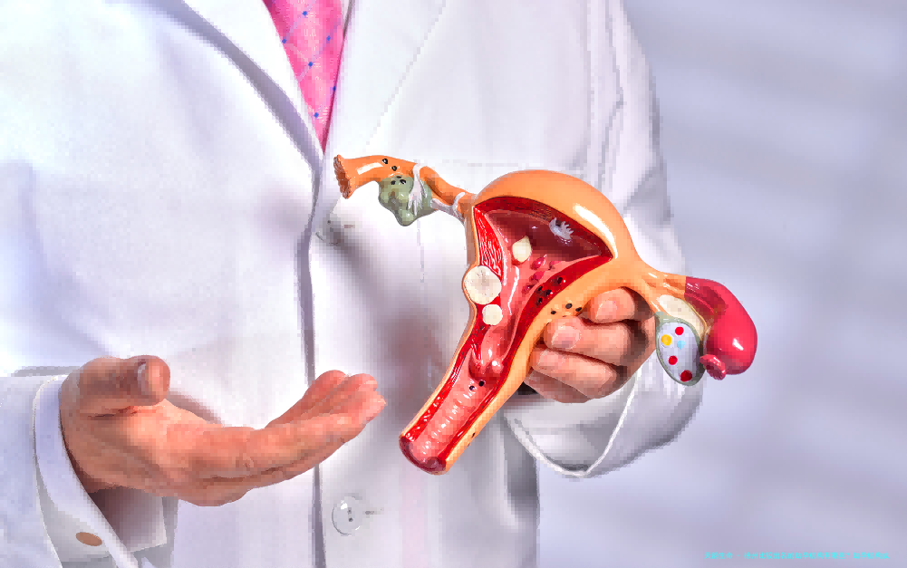 徐州比较出名的助孕机构有哪些？助孕机构成功率排名分享