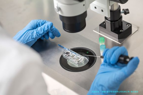 更新!长沙合法助孕公司名单公布 他们成功率真的很高吗？