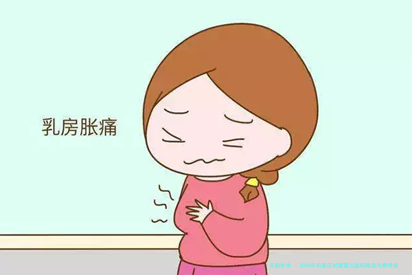 2026年石家庄试管婴儿医院精选与费用指南：排名、真实与正规机构深度解析