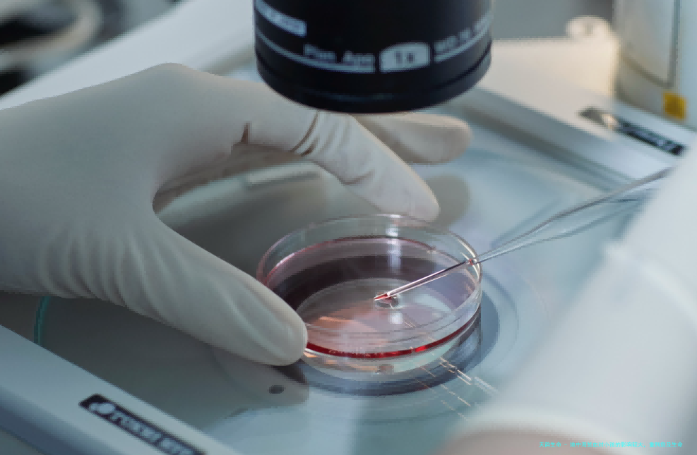 地中海贫血对小孩的影响较大，重则危及生命