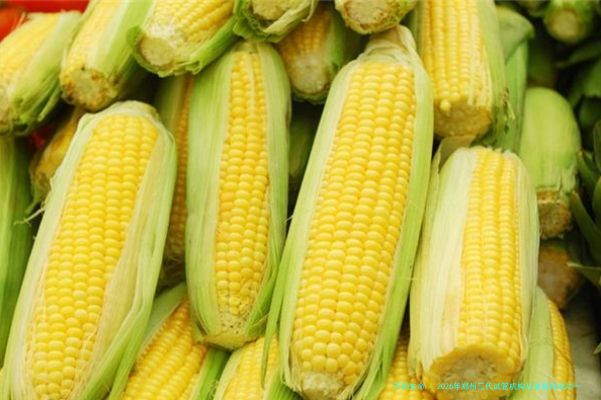 2026年郑州三代试管机构从准备到成功一站式指导