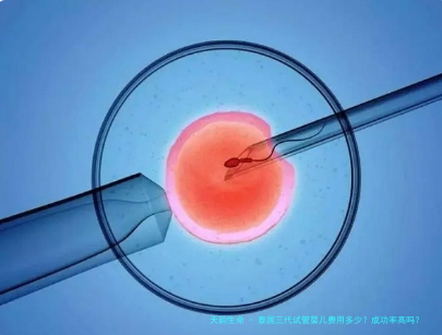 泰国三代试管婴儿费用多少？成功率高吗？