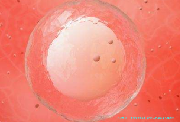 泰国曼谷DHC生殖医院三代试管婴儿技术优势显著，您了解其个性化治疗方案如何提高成功率吗？