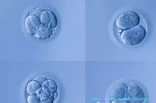 北京试管婴儿机构哪家好？北京做试管婴儿成功率比较高的医院是哪一家？