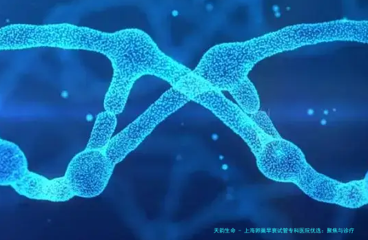 上海卵巢早衰试管专科医院优选：聚焦与诊疗的核心机构解析