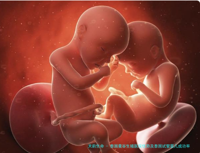 泰国曼谷生殖医院优势及泰国试管婴儿成功率