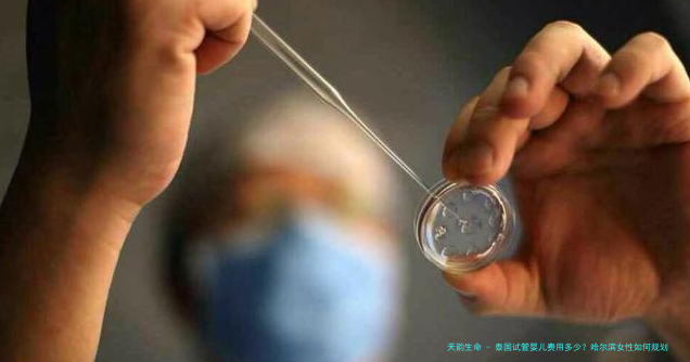 泰国试管婴儿费用多少？哈尔滨女性如何规划预算？