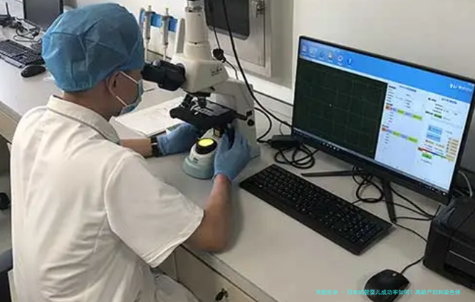 日本试管婴儿成功率如何？高龄产妇和染色体异常患者有哪些应对策略？