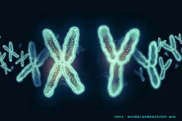 福州试管婴儿医院哪家成功率比较高？福州私立医院试管婴儿选择指南