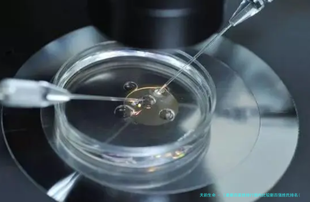 〖最新百家姓排行国内比较新百强姓氏排名(看你在哪) - 三代试管排行榜〗