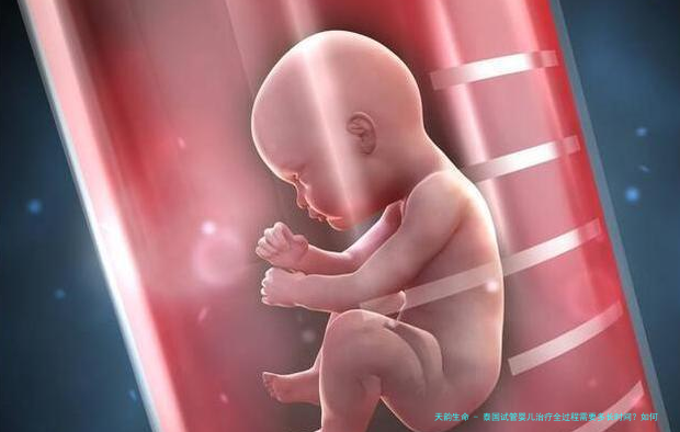 泰国试管婴儿治疗全过程需要多长时间？如何高效完成每个环节？