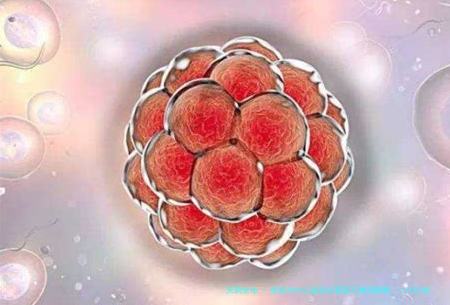 恩施州中心医院试管婴儿费用揭晓，一代价格30000起