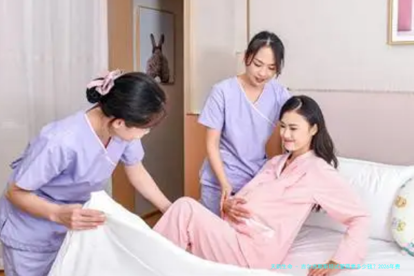 吉尔吉斯斯坦试管需要多少钱？2026年费用明细完整解析