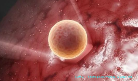 长春试管婴儿医院严选指南：聚焦Y染色体分离技术，精选5家高医院