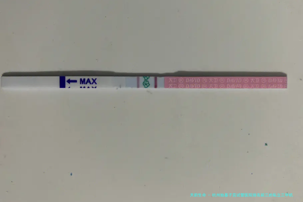 杭州始基子宫试管医院排名前三的私立三甲机构技术优势解读