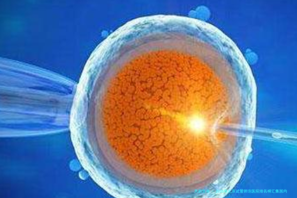2026年北京试管卵泡医院排名榜汇集国内top5：、费用、专家团队综合指南