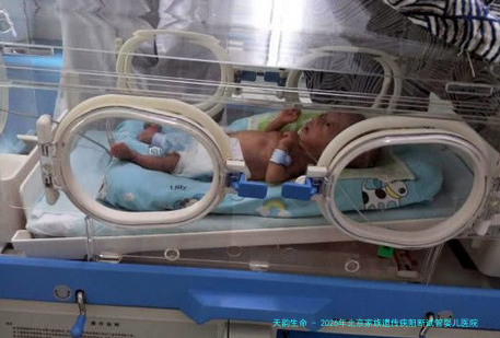 2026年北京家族遗传病阻断试管婴儿医院排名榜单：生殖中心技术解析与服务指南