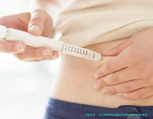 吉尔吉斯斯坦试管如何选择机构？详细的费用清单看这里