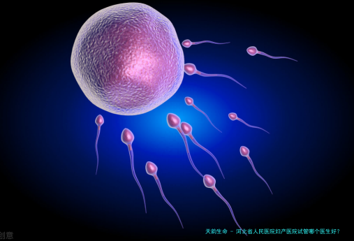 河北省人民医院妇产医院试管哪个医生好？