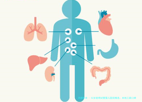 52岁昆明试管婴儿医院精选：本地三家口碑医院与国内知名机构技术合作详情及花费解析