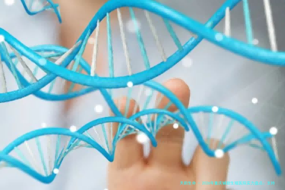 2026年重庆辅助生殖医院实力盘点：支持LGBT人群生育的五大口碑机构推荐