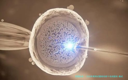 2026年南阳试管排名前十名的医院-做试管哪家医院好？