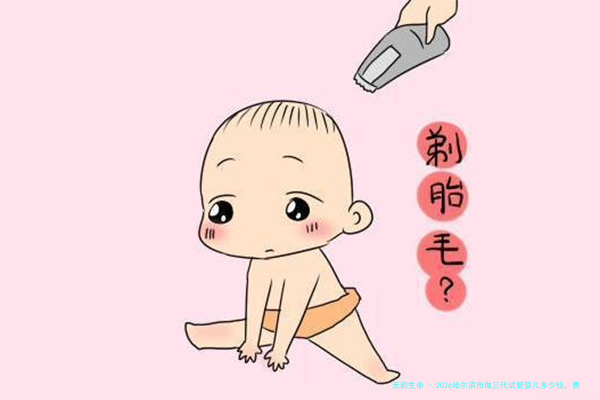 2026哈尔滨市做三代试管婴儿多少钱，费用详情清晰可见