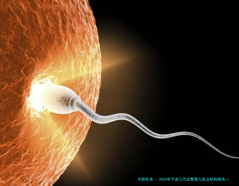 2026年宁波三代试管婴儿私立机构排名一览!试管备孕日记!
