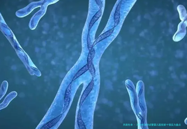 2026年深圳试管婴儿医院前十强实力盘点：北京大学深圳医院、中山大学附属第八医院领衔高龄女性试管技术与费用全解析