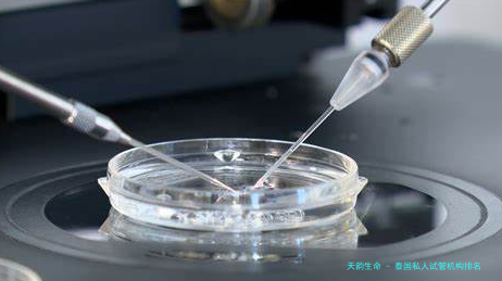 泰国私人试管机构排名