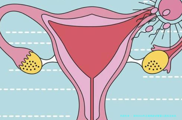 深圳2026年正规高龄试管婴儿医院及知名医生推荐指南