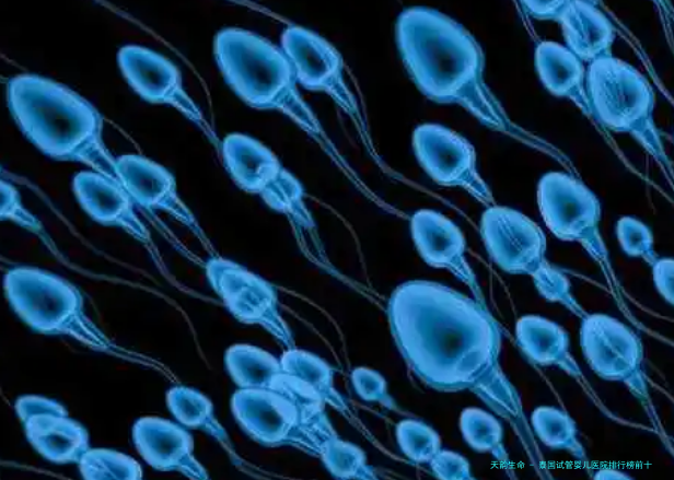 泰国试管婴儿医院排行榜前十