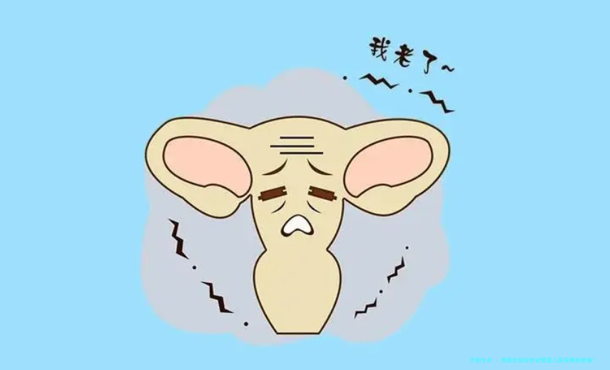 泰国比较好的试管婴儿医院哪些能做？