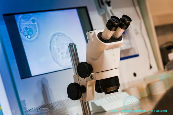 贵阳辅助生殖技术医院优选：贵州省妇幼保健院生殖中心、贵阳市人民医院等机构卵泡监测与试管解析