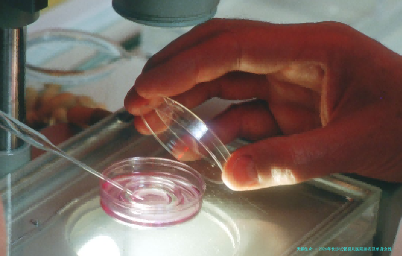 2026年长沙试管婴儿医院排名及单身女性助孕咨询：中信湘雅、湖南省妇幼等机构的费用与技术详解