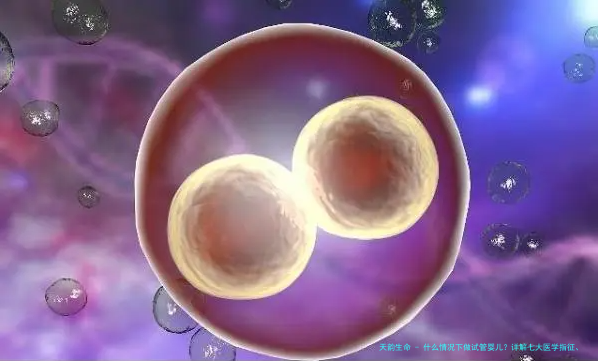 什么情况下做试管婴儿？详解七大医学指征、科学评估与决策路径