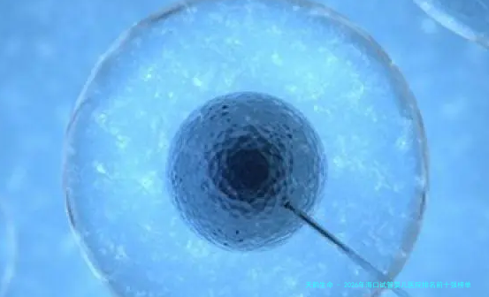 2026年海口试管婴儿医院排名前十强榜单：海南省妇幼保健院、海南医学院附属医院领衔附试管费用明细表