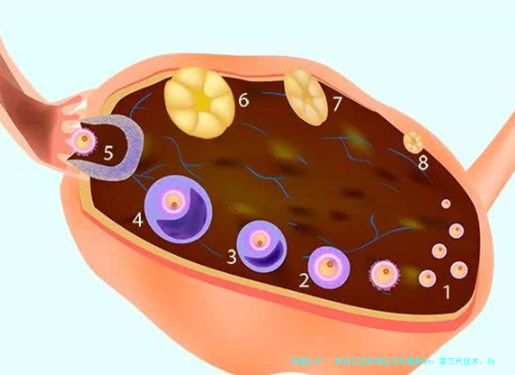 南昌正规试管医院深度解析：第三代技术、与费用透明，附2026年本地机构对比指南