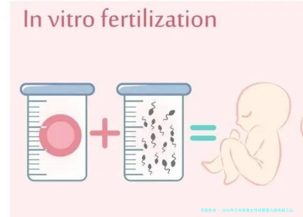2026年兰州单身女性试管婴儿排名前三公立医院深度解析：附医院选择与医生团队指南