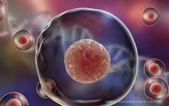 2026年大连地区支持单身人士的试管婴儿医院综合指南：技术与服务并重，附机构详细对比