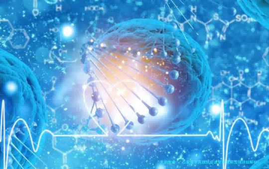 石家庄子宫腺肌症试管医院前三强详细解析：附本地专业医生推荐及费用明细