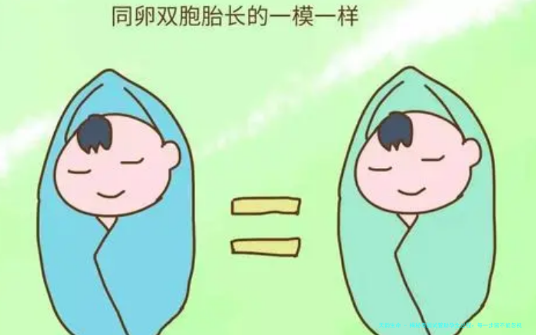揭秘泰国试管助孕全过程：每一步皆不能忽视，成功关键在此！